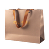 Custom Cardboard Paper Shopping Bags--YL-BAG0004