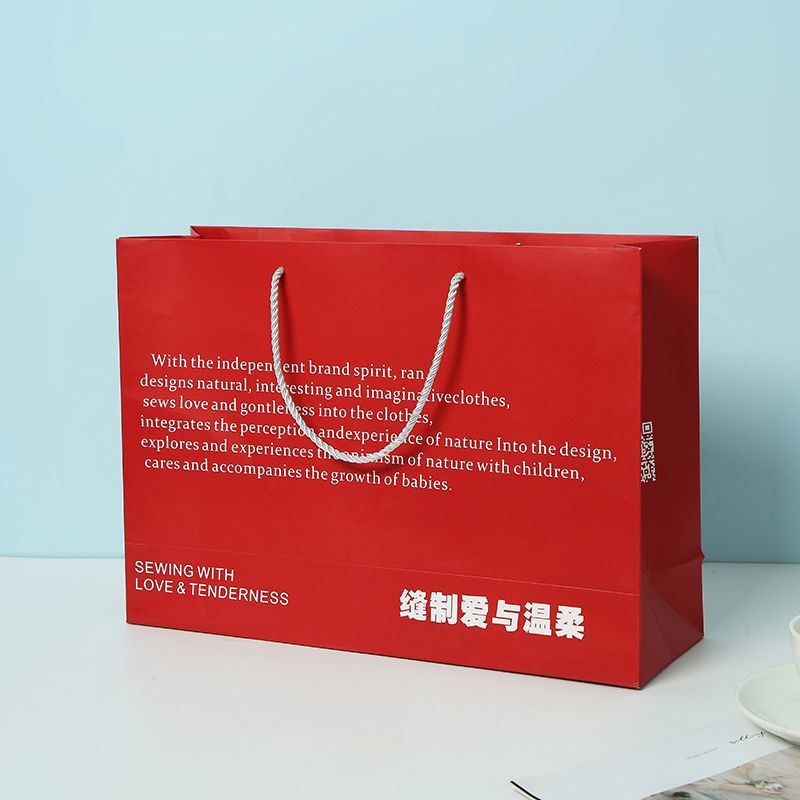 Wholesale Luxury Handle Printing Shopping Bag--YL-BAG0019