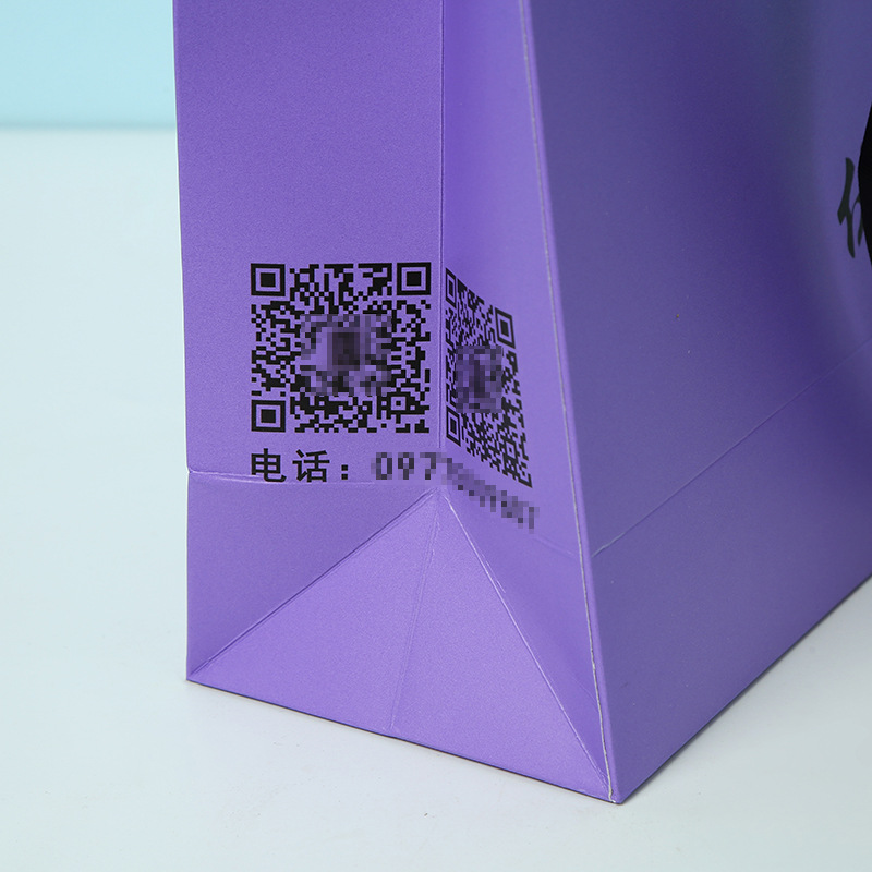 Wholesale Luxury Shopping Bag--YL-BAG0020