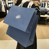 Luxury Printed Paper Bags--YL-BAG0013