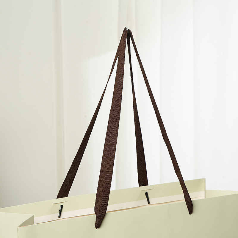 Cailyn Digital Printing Biodegradable Paper Bag --YL-BAG0027
