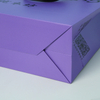 Wholesale Luxury Shopping Bag--YL-BAG0020