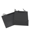 Eco-friendly Paper Shopping Bag--YL-BAG0002