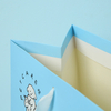 Luxury Paper Shopping Tote Bag --YL-BAG0023