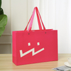 Wholesale Luxury Shopping Bag--YL-BAG0021