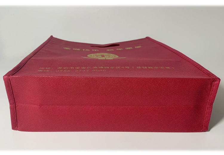 Non Woven Dress Tote Shopping Bags- YL-FP0002
