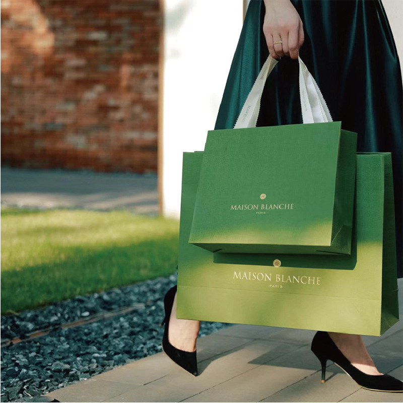 Eco-friendly Luxury Shopping Gift Paper Bags--YL-BAG0011