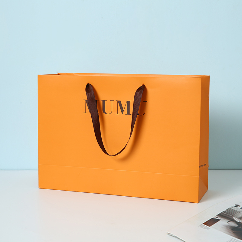 Custom Ribbon Handle Paper Shopping Bags --YL-BAG0029