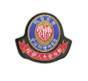 3D Full Embroidery Patches for Clothing--YL-WL0033