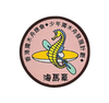 Custom Logo Woven Patches --YL-WL0022