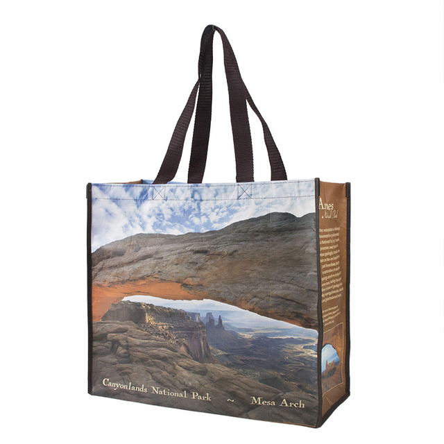  RPET Non Woven Lamination Bags- YL-FP0009
