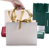 Customized Kraft Paper Bags--YL-BAG0009