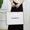 Disposable Shopping Gift Paper Packaging Bag--YL-BAG0016