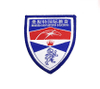 Hot selling Woven Fabric Embroidery Patches--YL-WL0032