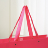 Wholesale Luxury Shopping Bag--YL-BAG0021