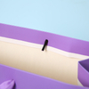Custom Ribbon Handle Paper Shopping Bags --YL-BAG0029
