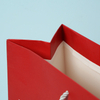 Wholesale Luxury Handle Printing Shopping Bag--YL-BAG0019