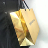 Custom Logo Printed Luxury Paper Gift Bag--YL-BAG0012