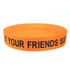 High Tenacity Light Weight Strong Nylon Webbing Band-YL-ET0008