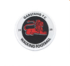 Customized Embroidered Woven Badges Patches --YL-WL0038