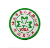 Customized Design Embroidery Patch --YL-WL0023