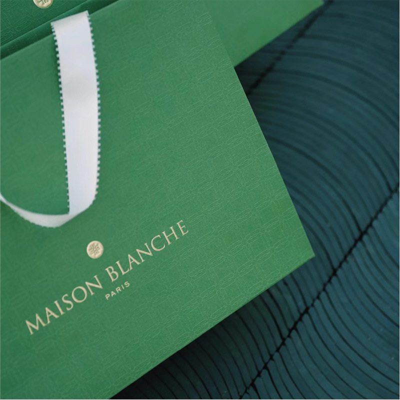  Eco-friendly Luxury Shopping Gift Paper Bags--YL-BAG0011
