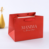Twisted Handle Shopping Carrier Bag--YL-BAG0006