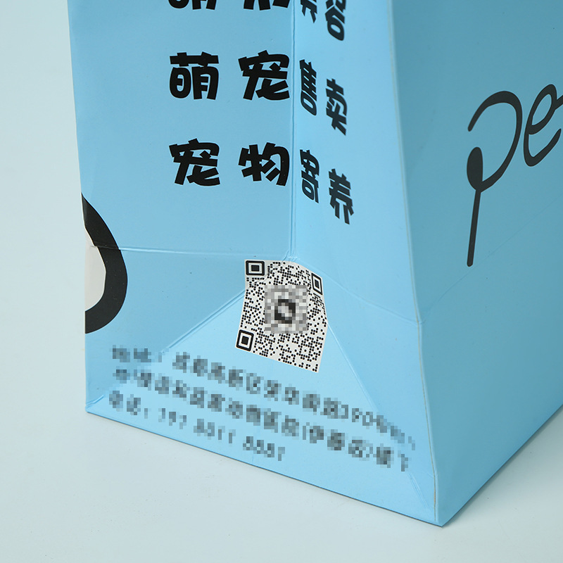 Luxury Paper Shopping Tote Bag --YL-BAG0023