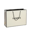 Disposable Shopping Gift Paper Packaging Bag--YL-BAG0016